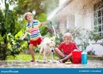 kids washing dog