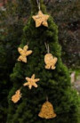 cookie ornaments on tree