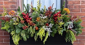 window sill arrangement