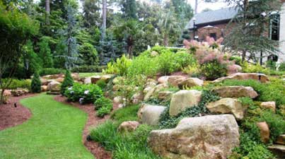 rock formation in yard